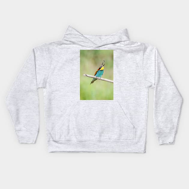 European bee-eater (Merops apiaster) Kids Hoodie by GrahamPrentice